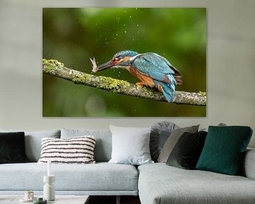 IJsvogel met vis op tak van Arie Jan van Termeij