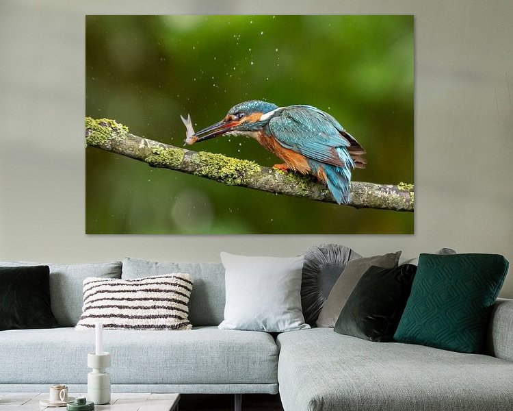 Aperçu de la chambre