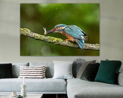 Aperçu de la chambre