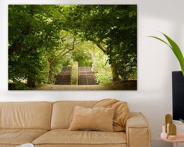 Escaliers I Jardin botanique I Jardins de Valloires I Picardie, France I Impression couleur sur Floris Trapman