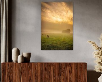 Schafe im Nebel von Ard Jan Grimbergen
