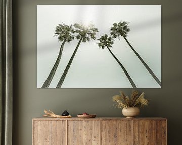 Palmbomen in de zon | Vintage