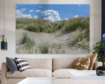 Panneau de dunes avec herbe à marmotte sur Walter Frisart