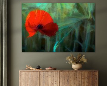 Der rote Mohn von Loris Photography