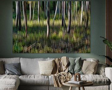 Mystical dancing trees in autumn forest by Gert van Santen