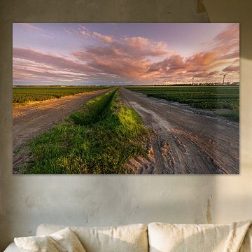 Noordoostpolder im letzten Licht