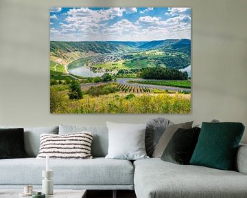 Rivierlus in het landschap van Mustafa Kurnaz