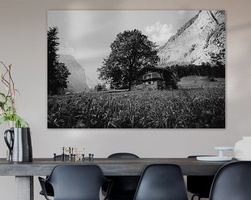 Hut in het gras, Lauterbrunnen, Zwitserland | Houten huisje landschapsfotografie | Zwart en wit van Ilse Stronks | Lines and light inspired travel photography