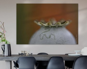 Papaverbol