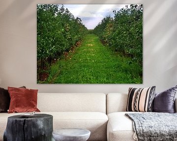 Appelplantage