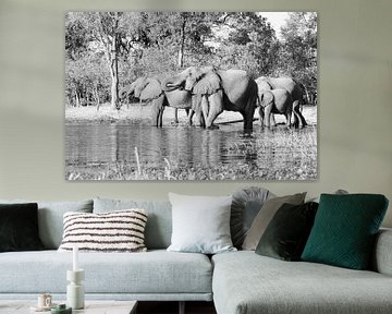 De olifanten van de Okavango van GoWildGoNaturepictures