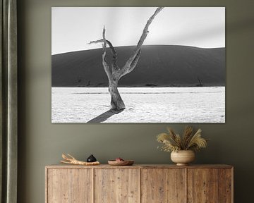 Death vlei