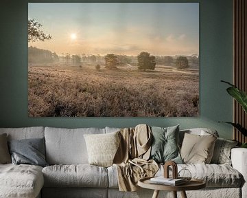 Fine Art Landschap van de zonsopkomst op de heide van John van de Gazelle fotografie