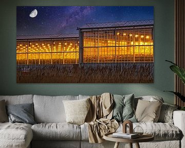 A Westland greenhouse with growing light against a starry sky with moon by Gert van Santen
