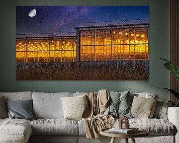 Ein Westland-Gewächshaus mit wachsendem Licht vor einem Sternenhimmel mit Mond von Gert van Santen