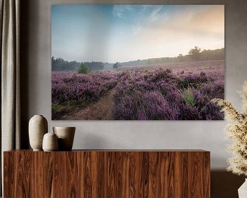 Bloeiende Heide van Max ter Burg Fotografie