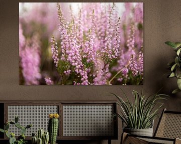 Heide bloemen van Karijn | Fine art Natuur en Reis Fotografie