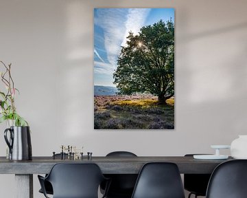 Arbre sur la bruyère fleurie sur Martijn Joosse