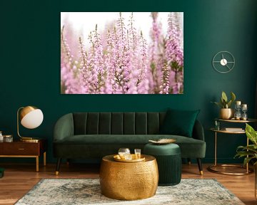 Bloeiende paarse heide bloemen van Karijn | Fine art Natuur en Reis Fotografie