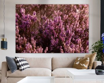 Bloeiende paarse heide bloemen. van Karijn | Fine art Natuur en Reis Fotografie