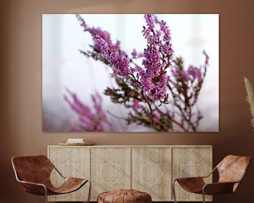 Blühende violette Heidekrautblüten. von Karijn | Fine art Natuur en Reis Fotografie