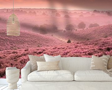 The heather in full bloom by Remco Piet