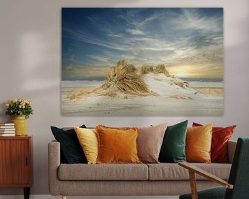 New dune formation on the beach of Ameland. by Gert van Santen