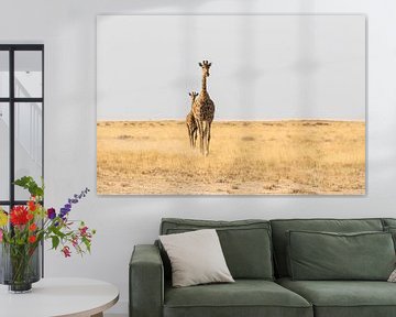 Giraffen (Giraffa) op de savanne van Remco Donners