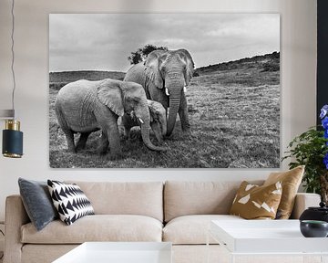 Portrait of family African elephants (Loxodonta) by Remco Donners