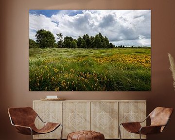 Landschaft mit Wildblumen im Hohen Venn von Belgien von OCEANVOLTA