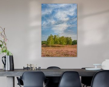 Wolken en bomen in het heidelandschap