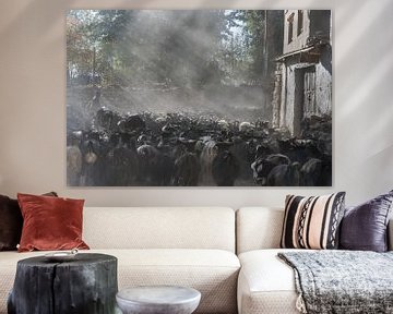 Street scene of a herd of goats a village in the Himalayas | Nepal by Photolovers reisfotografie