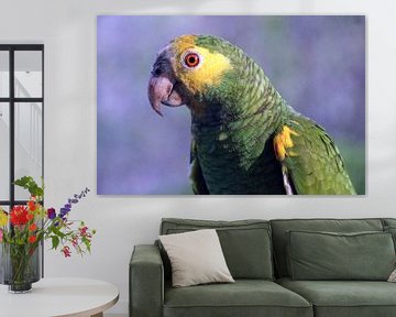 Amazonas-Papagei auf Bonaire von Silvia Weenink