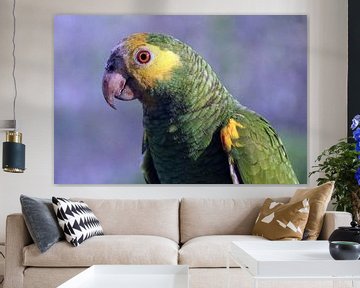 Amazone papegaai op Bonaire van Silvia Weenink