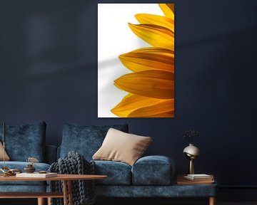 Sonnenblume von Nynke Altenburg