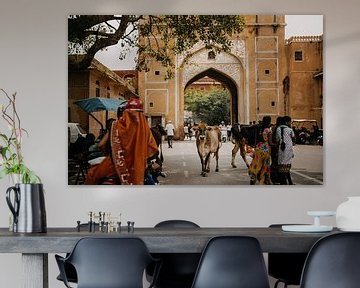 Koe midden op de weg, een typisch straatbeeld in India van Yvette Baur