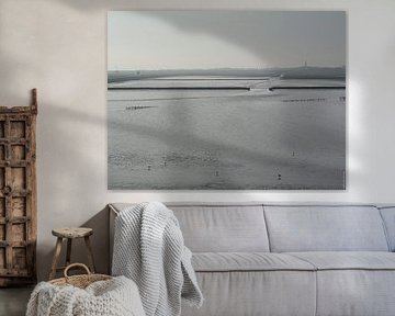 Waddenzee bij Holwerd