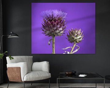 Artichoke by Gareth Williams