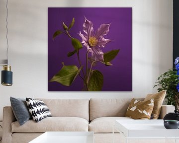 Clematis on purple by Gareth Williams