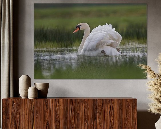 Voorbeeld van het werk in een kamer