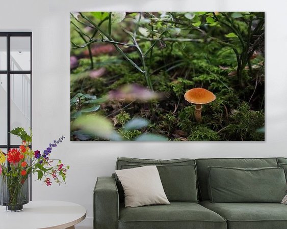 Aperçu de la chambre