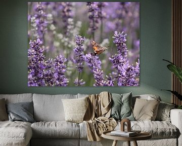 Kolibrie-vlinder in een lavendel struik in Frankrijk van Monrey