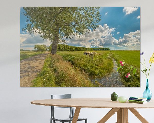 Paysage de polders dans la Betuwe