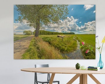 Polderlandschap in de Betuwe van Moetwil en van Dijk - Fotografie