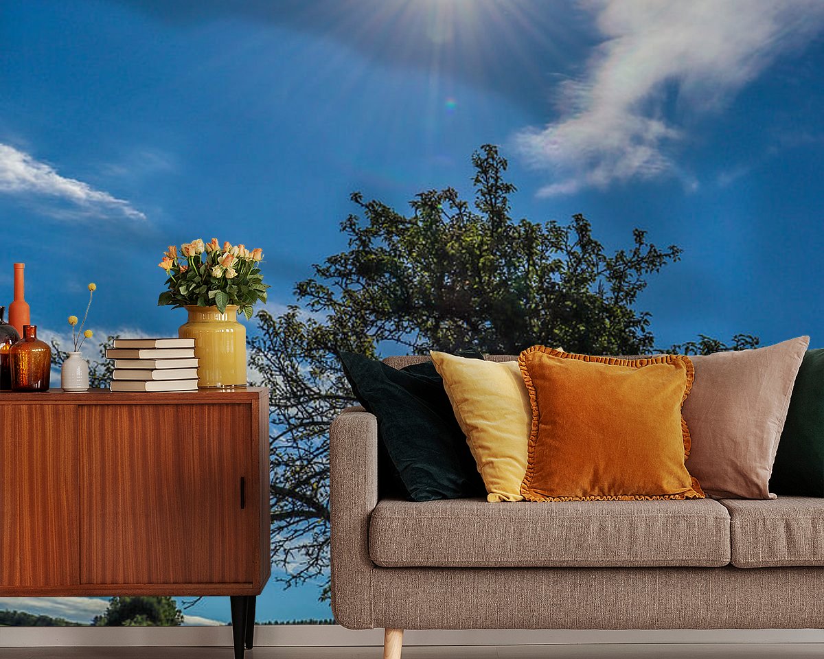 Raumvorschau