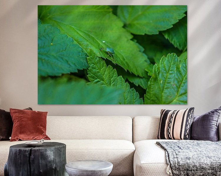 Aperçu de la chambre