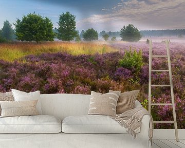 Morning mood in the Lüneburg Heath by Daniela Beyer