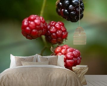 Blackberries by MSP Canvas