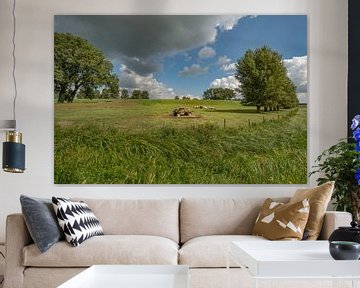 Hollandse koeien bij  (hooi) strowagen in de polder van Moetwil en van Dijk - Fotografie