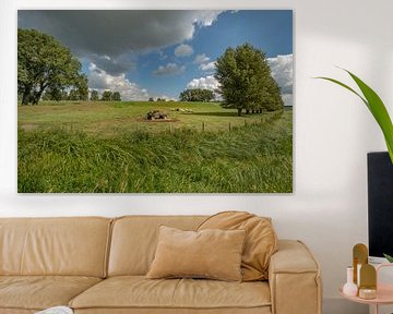 Hollandse koeien bij  (hooi) strowagen in de polder
